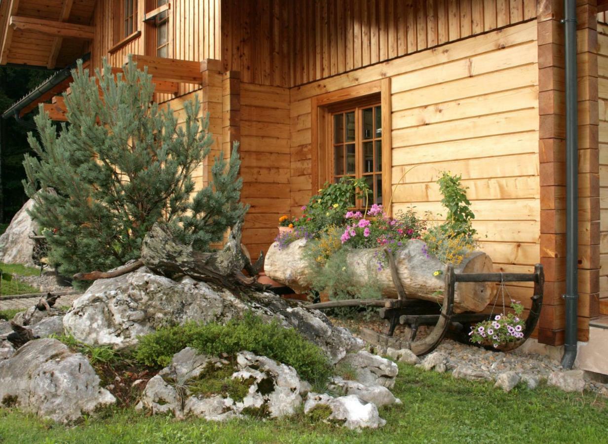 Apartment Pod Skalco Йесенице Екстериор снимка